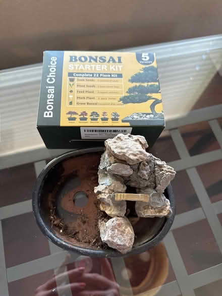Photo of free Bonsai starter kit (Del Prado neighborhood 94566) #1