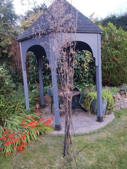 Photo of free Bamboo canes (Woodmancote GL52) #2