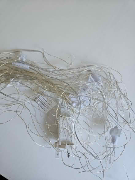 Photo of free Fairy lights (waterfall style) (Brighton, BN2) #2