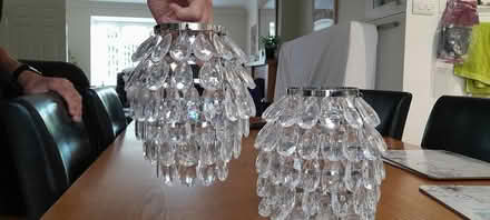 Photo of free 2 Pineapple Pendant Lampshades (North Shields NE30) #2