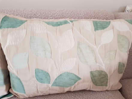 Photo of free Blue scatter cushions (Exeter, Beacon Heath) #2