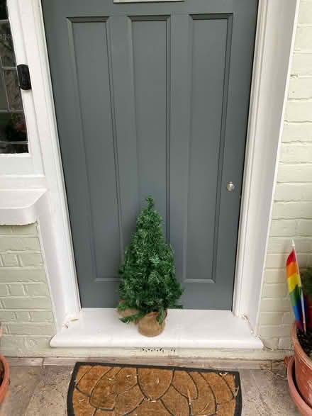 Photo of free Xmas in Aug (East Sheen SW14) #2