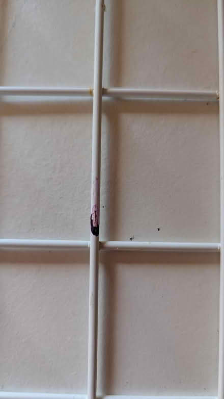 Photo of free Freezer drawer (Bexhill TN40) #3