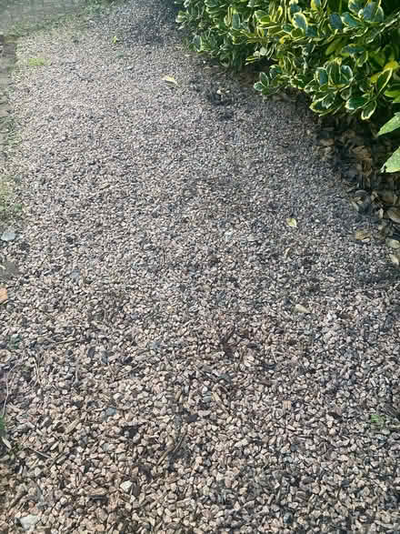 Photo of free Pink granite gravel / chuckies (AB15) #1