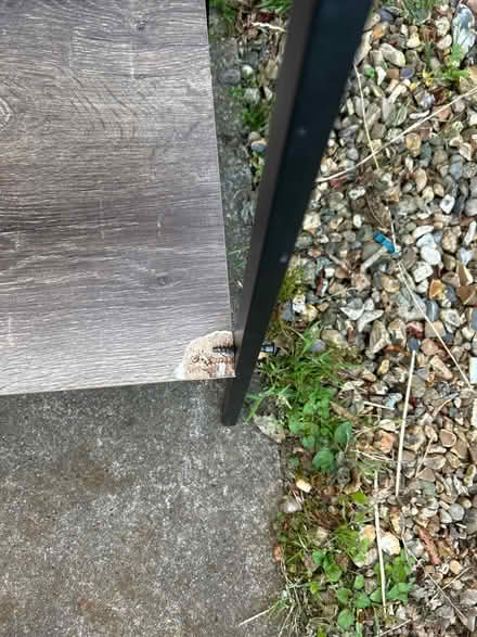 Photo of free Ladder shelf no time wasters (CH61) #2