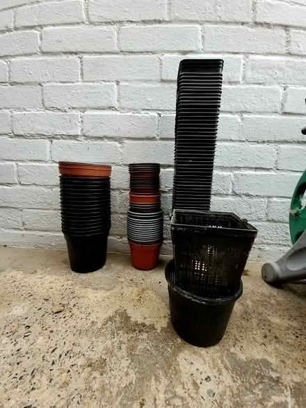 Photo of free Garden stuff (Dursley GL11) #3