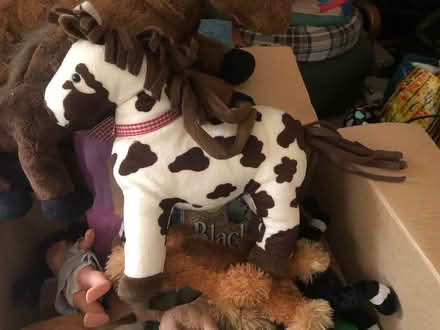 Photo of free Plush Horses play set (East Watertown) #2