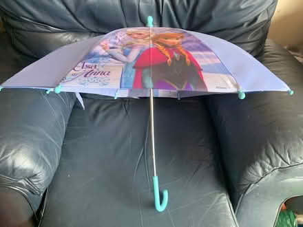 Photo of free Two Frozen Umbrellas (Gosforth NE3) #1