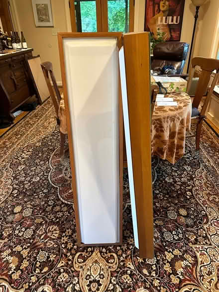 Photo of free ceiling light enclosures (near Cabin John Village) #2