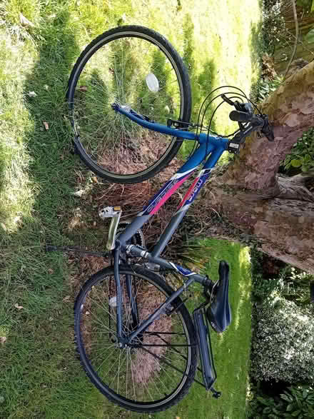Photo of free Lady's Hybrid Bicycle (Northcourt OX14) #1