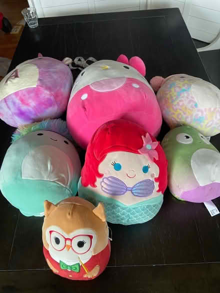 Photo of free 7 Squishmallows- mixed sizes (Lakewood) #1