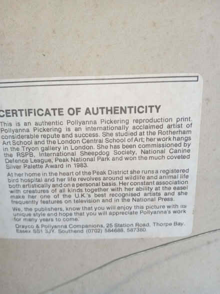 Photo of free Pollyanna Pickering Owl picture with certificate (Eastbourne BN21) #2
