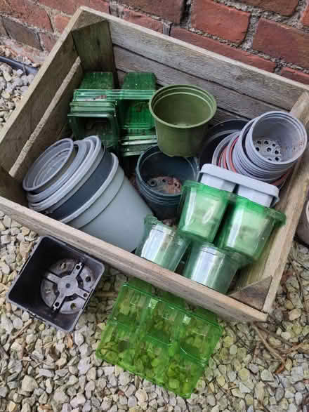 Photo of free Plant Pots (Great Missenden, HP16) #1