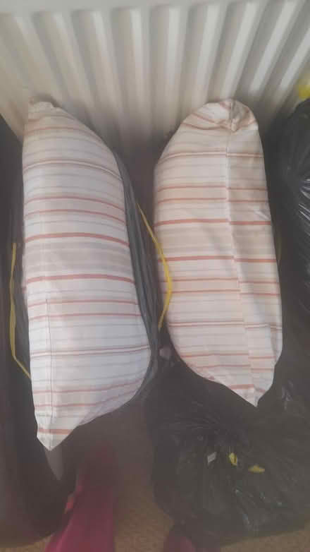 Photo of free Garden Swing or Lounger Cushions (Letchworth) #1