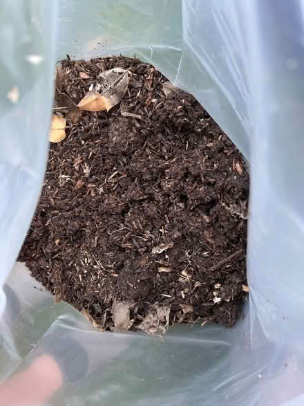 Photo of free Compost (Loscoe DE75) #2