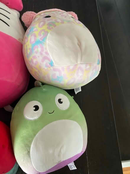 Photo of free 7 Squishmallows- mixed sizes (Lakewood) #2