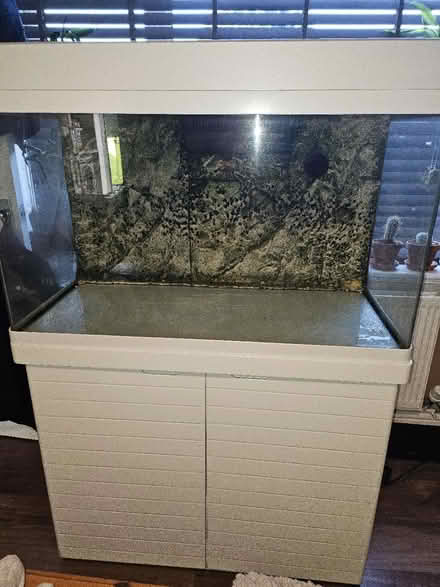 Photo of free 250l Fish Tank And stand (Swinton M27) #1