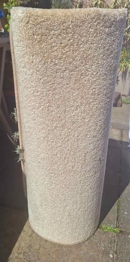 Photo of free Carpet as new condition (EH6 Leith) #1