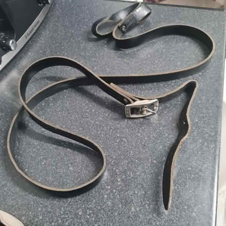 Photo of free Greyhound fishbone collar & lead (Northfield B31) #3