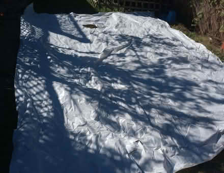 Photo of free Two large polythene sheets (Iffley Road OX4) #2