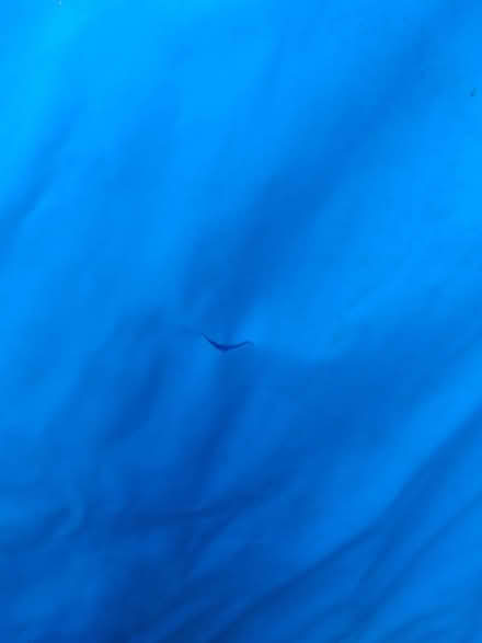 Photo of free Kids paddling pool (shark design) (Woolton L25) #2