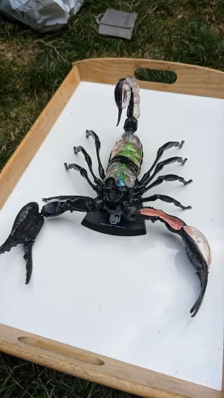 Photo of free Emperor scorpion model (King George's Park: SW18 4) #2
