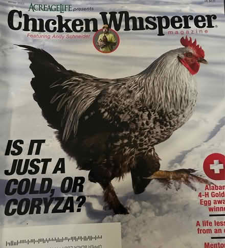 Photo of free 14 Chicken Magazines (2023-2024) (Upper Black Eddy, PA 18972) #3