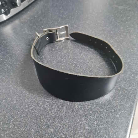 Photo of free Greyhound fishbone collar & lead (Northfield B31) #2