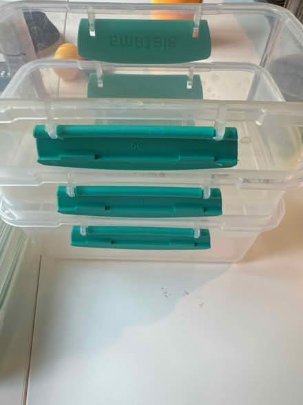 Photo of free 3 food boxes Systema (Bermondsey SE1) #1