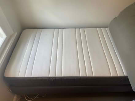 Photo of free Single bed and comfort topper (East Sheen SW14) #3