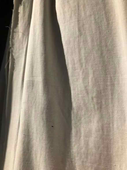 Photo of free Pair of long curtains (Burghfield RG7) #2