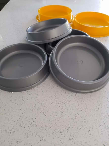Photo of free Food bowls and old towels (Mariansleigh EX36) #1