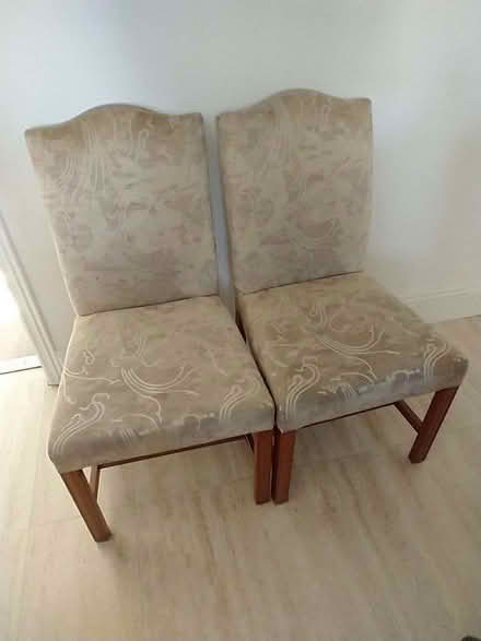 Photo of free Two Chairs (Walker NE6) #2