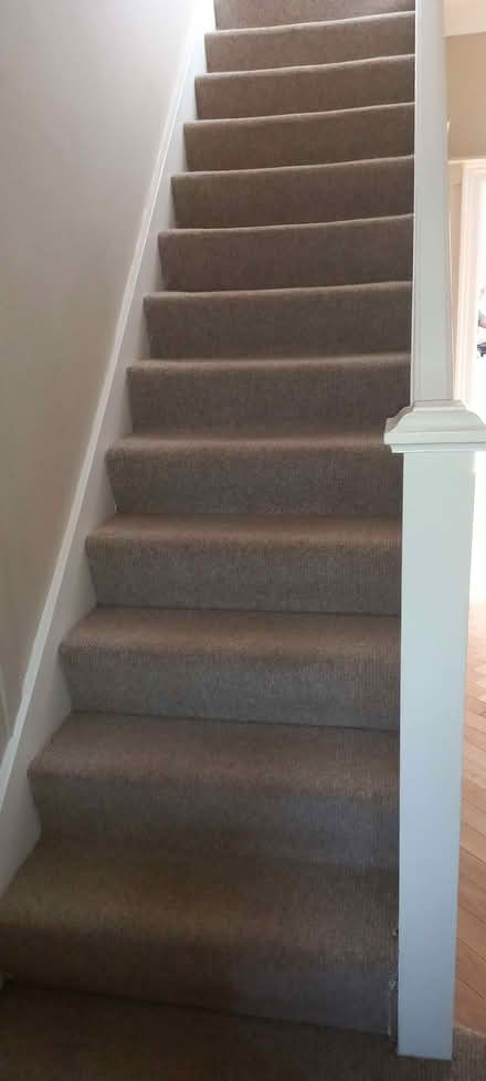 Photo of free Carpet (Eldwick BD16) #1