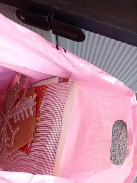 Photo of free Bag of Christmas gift bags and some decorations (Eastbourne BN21) #1