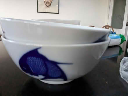 Photo of free Job lot bowls (Old Woking) #4