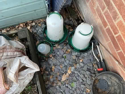 Photo of free Chicken drinkers and feeder (Loscoe DE75) #1