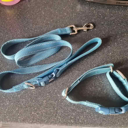 Photo of free Lead, collar, harness for greyhound (Northfield B31) #1