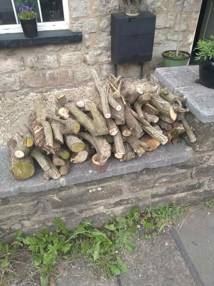 Photo of free Fire wood (GL14) #1