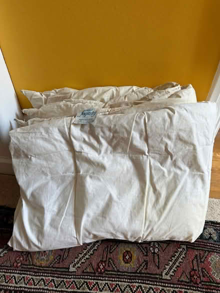 Photo of free Single 13.5 tog Fogarty Duvet (Eastbourne BN21) #1