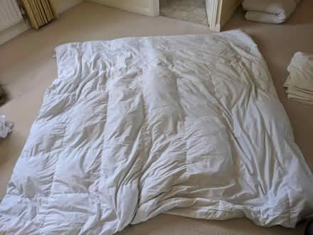 Photo of free Feather quilts (Leybourne) #2