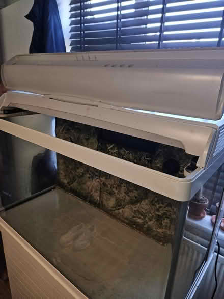 Photo of free 250l Fish Tank And stand (Swinton M27) #3