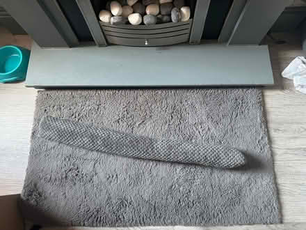 Photo of free Rug and draft excluder (DE23) #1