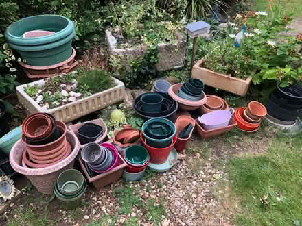 Photo of free Plant Pots (Dallington) #1