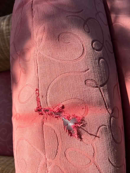 Photo of free Wicker sofa and armchair (Broughton, DN20) #2