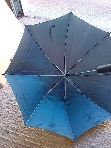 Photo of free Automatic opening umbrella - black (Eastbourne BN21) #2