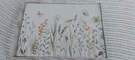 Photo of free Plate Mats (B92 Solihull) #1