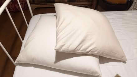 Photo of free 2 pillows 65cm*65 cm (AL1 st Albans station) #1
