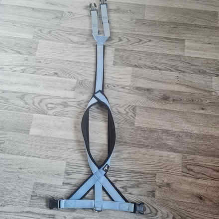 Photo of free Lead, collar, harness for greyhound (Northfield B31) #2