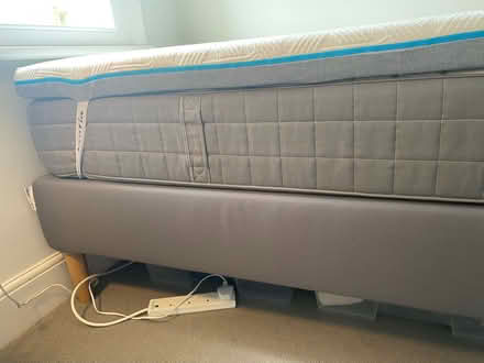 Photo of free Single bed and comfort topper (East Sheen SW14) #4